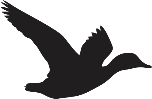 (s202-I) Duck Silhouette