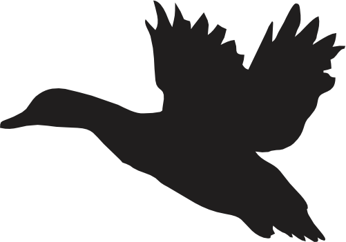 (s202-J) Duck Silhouette