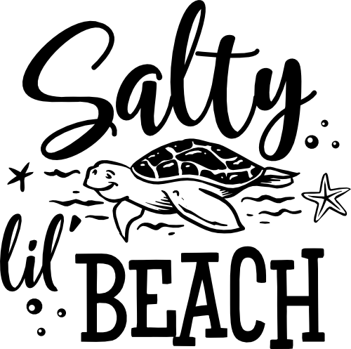 (204-01-C2) Salty Lil Beach Turtle