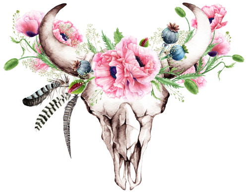 (s205-D) Cow Skull Pink Poppies
