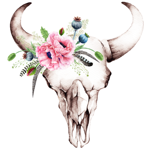 (s205-E) Cow Skull Pink Poppies