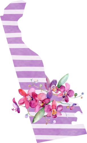 (s206-09) State Watercolor Orchids Purple Stripes All States Available