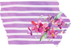 (s206-09) State Watercolor Orchids Purple Stripes All States Available