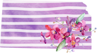 (s206-09) State Watercolor Orchids Purple Stripes All States Available