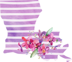 (s206-09) State Watercolor Orchids Purple Stripes All States Available