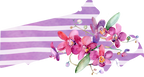 (s206-09) State Watercolor Orchids Purple Stripes All States Available