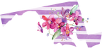 (s206-09) State Watercolor Orchids Purple Stripes All States Available