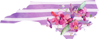 (s206-09) State Watercolor Orchids Purple Stripes All States Available