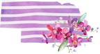 (s206-09) State Watercolor Orchids Purple Stripes All States Available