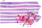 (s206-09) State Watercolor Orchids Purple Stripes All States Available