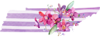 (s206-09) State Watercolor Orchids Purple Stripes All States Available