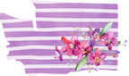 (s206-09) State Watercolor Orchids Purple Stripes All States Available