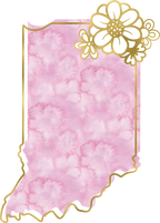 (s206-14) State Watercolor Gold Flower All States Available