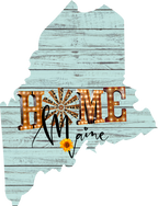 (s206-15) State Rustic Home All States Available