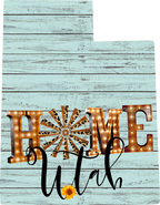 (s206-15) State Rustic Home All States Available