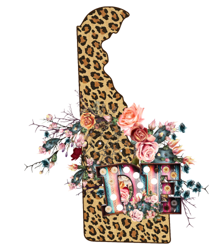 (s206-16) Leopard Print Floral Boho State Delaware