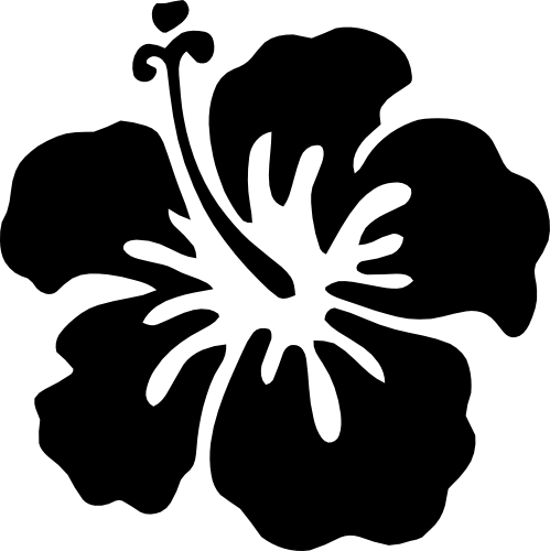 (021-01-1A) Hibiscus Flowers Flower