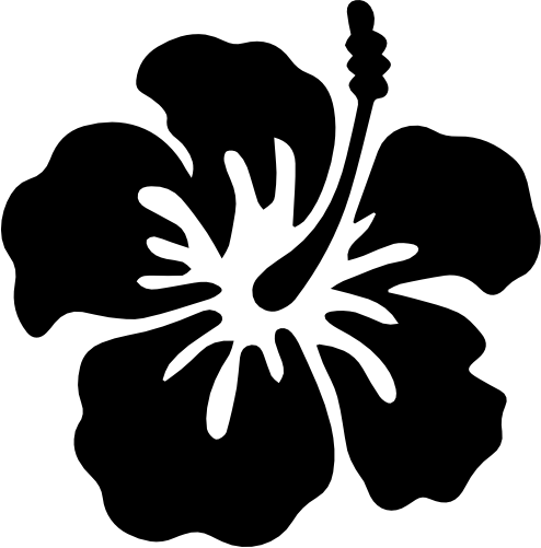 (s021-1-1B) Hibiscus