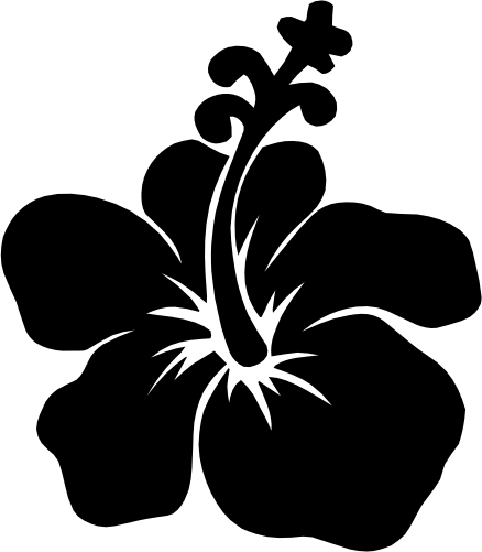 (s021-1-1D) Hibiscus