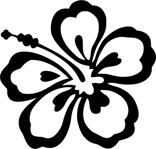 (021-01-1H) Hibiscus