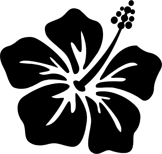 (021-01-1I) Hibiscus