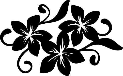 (021-01-1S) Plumeria Flowers Bunch