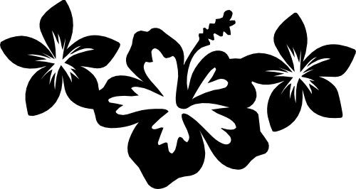 (021-01-1T) Hibiscus Flowers