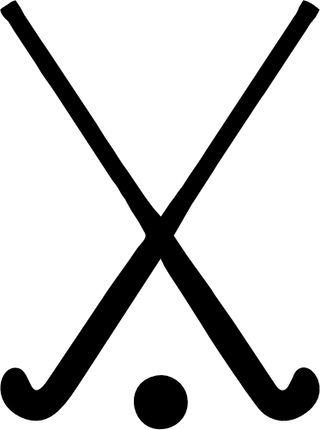 (s221-1-D) Field Hockey Sticks