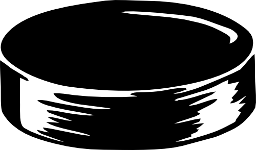 (s221-1-A) Hockey Puck