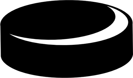 (s221-1-B) Hockey Puck