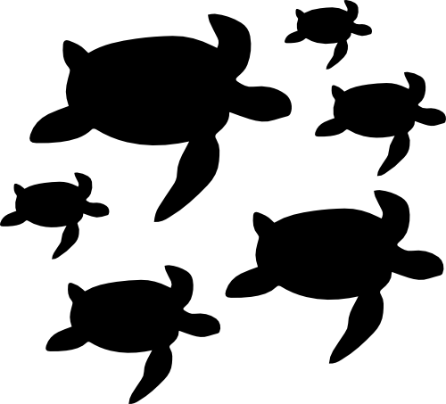 (022-01-E) Tropical Sea Turtles Set Assorted or Same Sizes