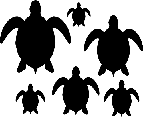 (022-01-G) Tropical Sea Turtles Set Assorted or Same Sizes