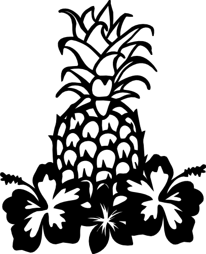 (s230-1-E) Pineapple Hibiscus Flowers