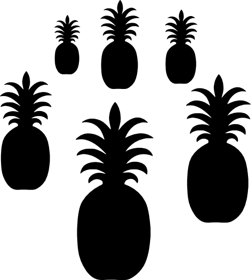 (230-01-H) Pineapple Set Assorted or Same Sizes