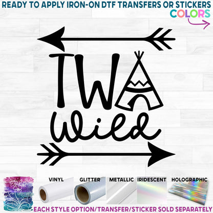 (s232-A) Wild One, Two Wild Arrows Teepee