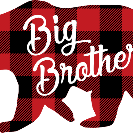 (232-CC) Big Brother