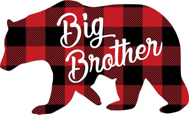 (232-CC) Big Brother