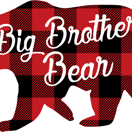 (232-CC) Big Brother Bear