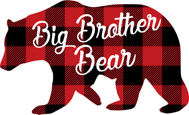 (232-CC) Big Brother Bear