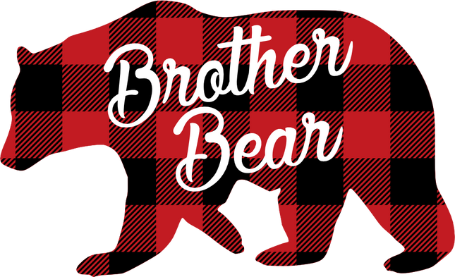 (232-CC) Brother Bear