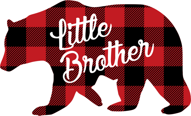 (232-CC) Little Brother