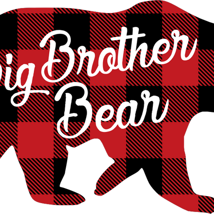 (232-CC) Big Brother Bear