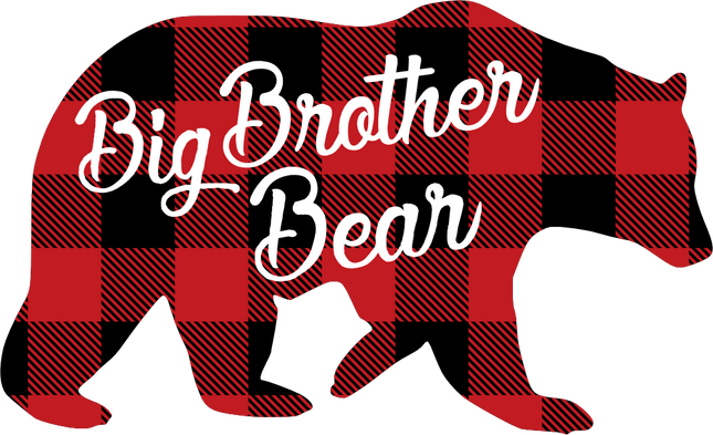 (232-CC) Big Brother Bear