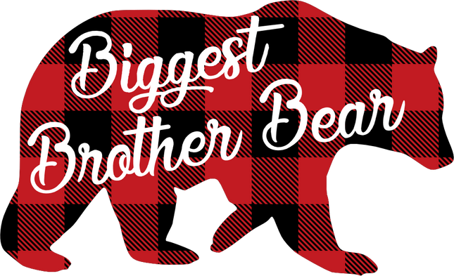 (232-CC) Biggest Brother Bear