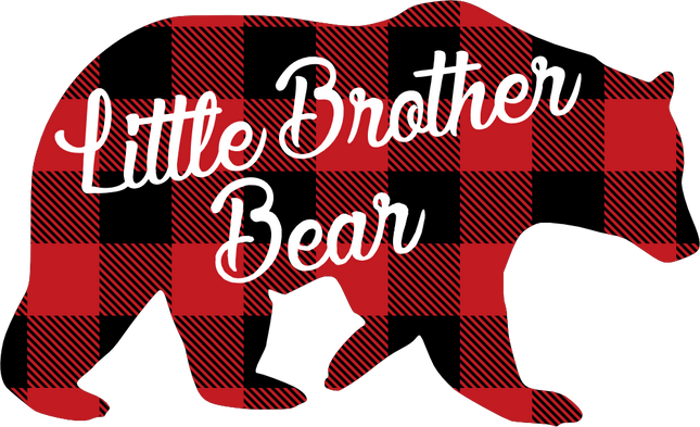 (232-CC) Little Brother Bear