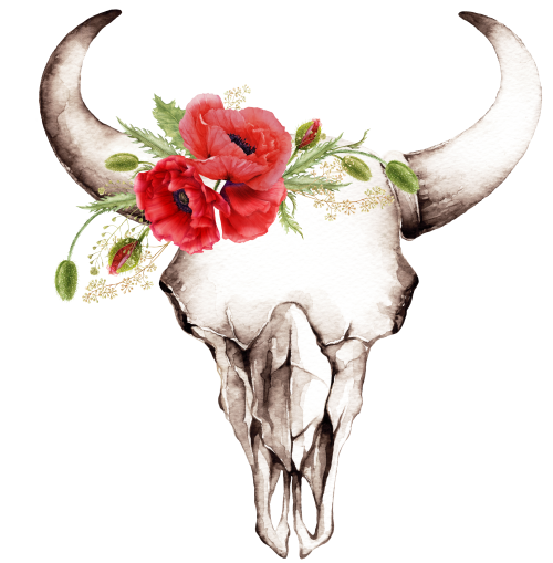 (s234-L) Cow Skull Red Poppies