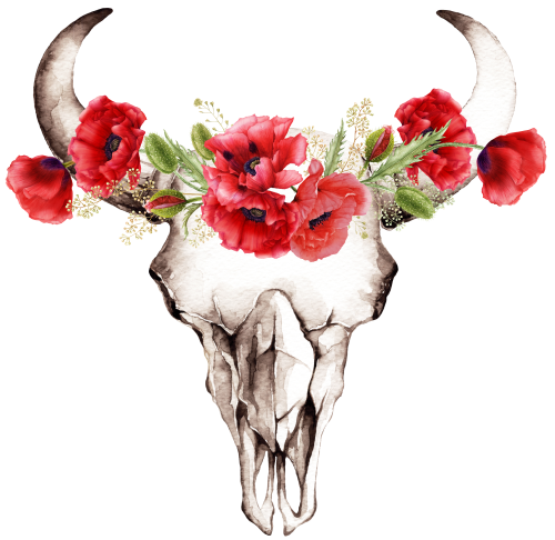 (s234-M) Cow Skull Red Poppies