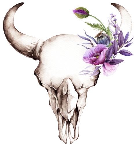 (s235-A) Cow Skull Purple Poppies