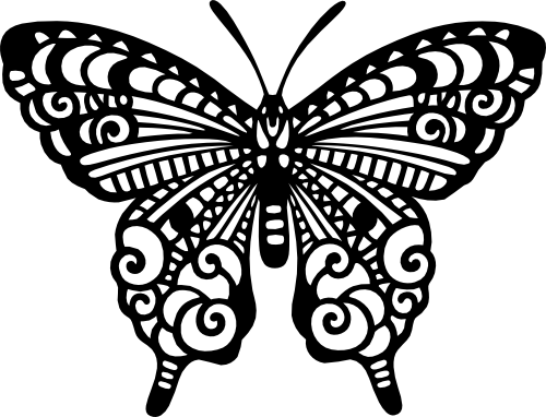 (s024-3-Z) Butterfly