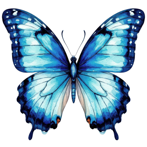 (s024-3A) Blue Butterfly